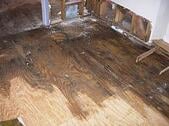 wood water damage