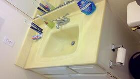 before bathroom facelift