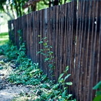 damaged fence