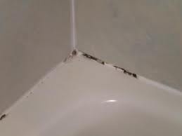 Home maintenance, removing mold