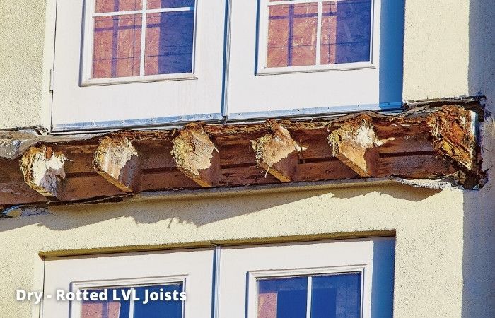 02 - Berkley Rot