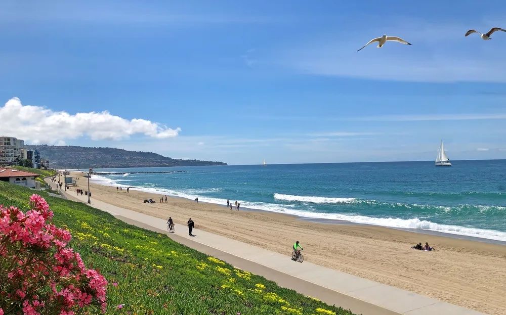 general-contractor-termite-dryrot-repair-redondo-beach