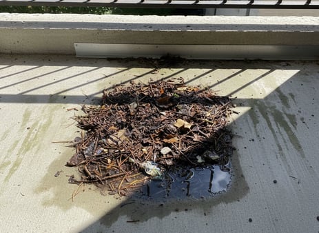 bcc_Generated_Image_o3m45ko3m45ko3m4