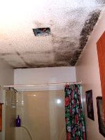 black mold in shower