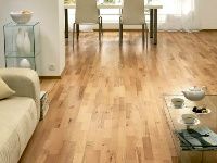 stripedbeechwood 1