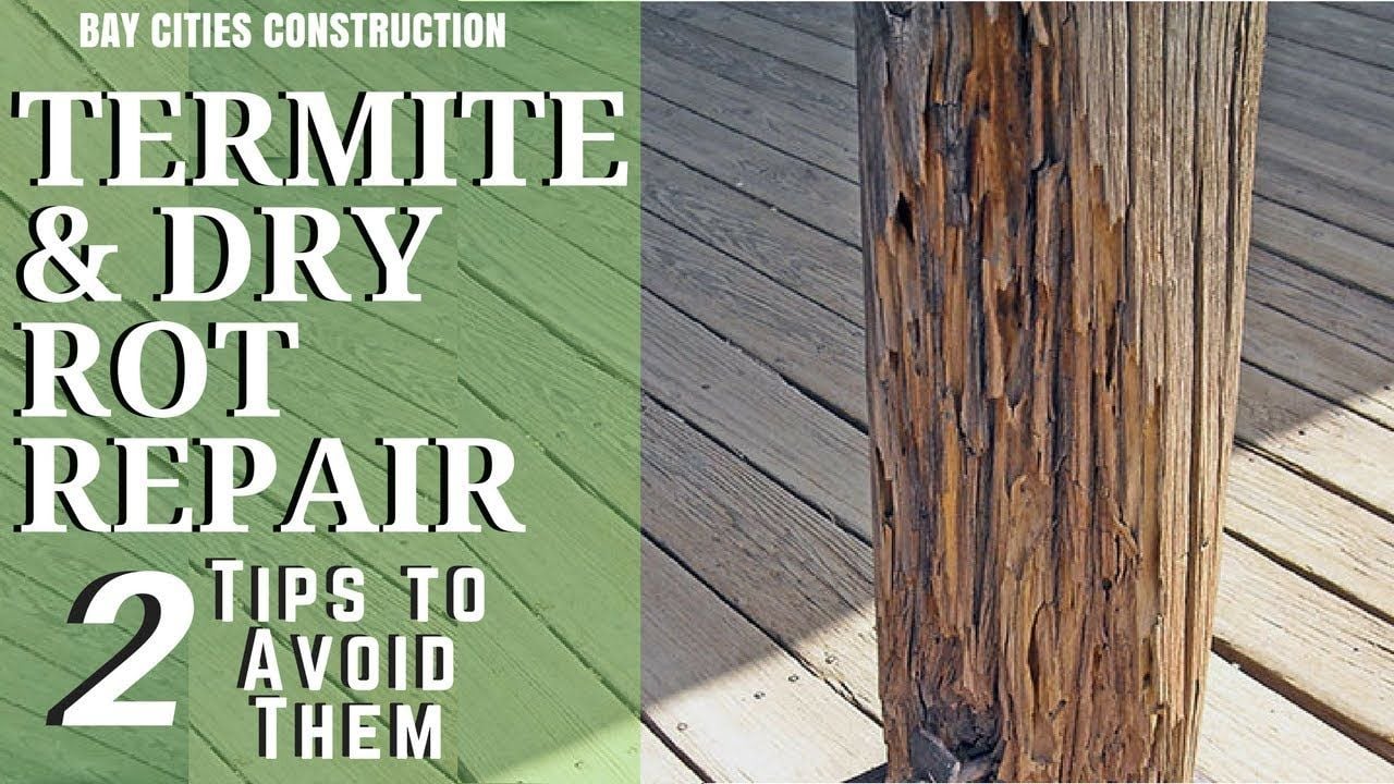 Termite and Dry Rot Repair | 2 Tips to Avoid Them