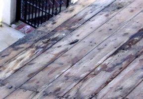 termite damage repair services in manhattan beach